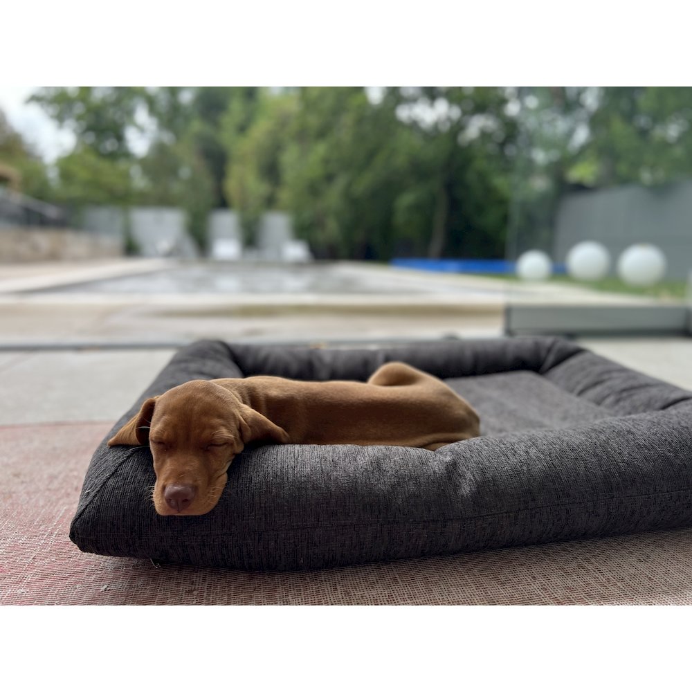 Hugo FutonBed For Dogs in Vanilla Fabric Finish Size - LRG