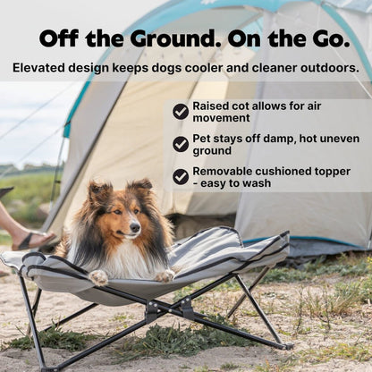 Elevated Camping Cot, Folding Dog Bed, Raised Travel Lounger for Medium Dogs