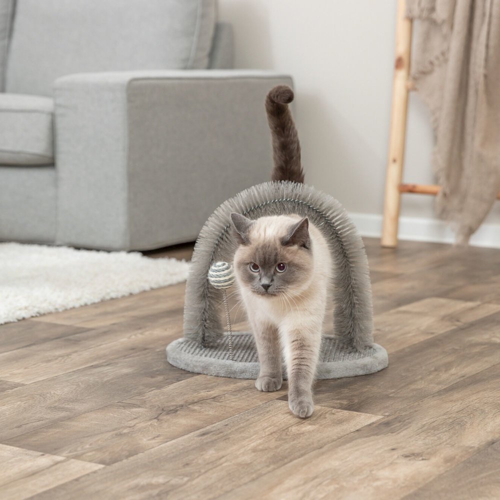 Scratching Plate with Brush Cat Scratcher & Self Groomer