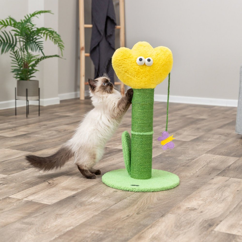 Lillian 22 Inch Jute Cat Scratching Post, Green/Yellow