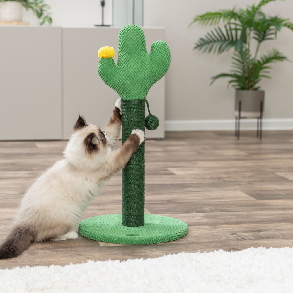 Fero 24" Jute Scratching Post - Cute Whimsical Cactus Cat Tree with Dangling Toy