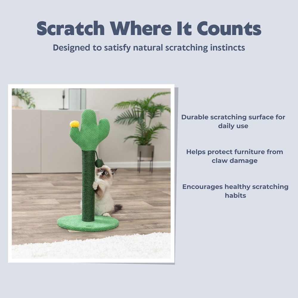 Fero 24" Jute Scratching Post - Cute Whimsical Cactus Cat Tree with Dangling Toy