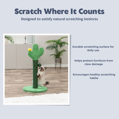 Fero 24" Jute Scratching Post - Cute Whimsical Cactus Cat Tree with Dangling Toy