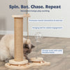 Oliver Interactive Cat Scratching Post w/ Treat Cup, Wooden Track & Hanging Ball