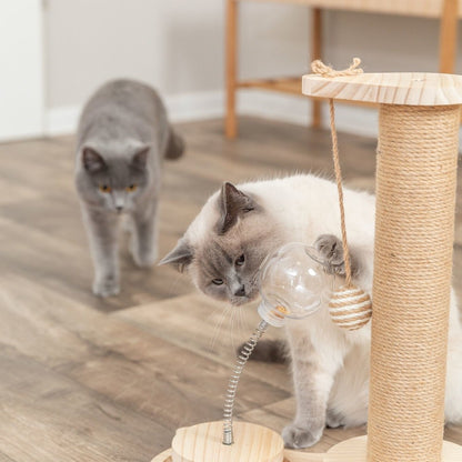 Oliver Interactive Cat Scratching Post w/ Treat Cup, Wooden Track & Hanging Ball