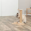 Oliver Interactive Cat Scratching Post w/ Treat Cup, Wooden Track & Hanging Ball