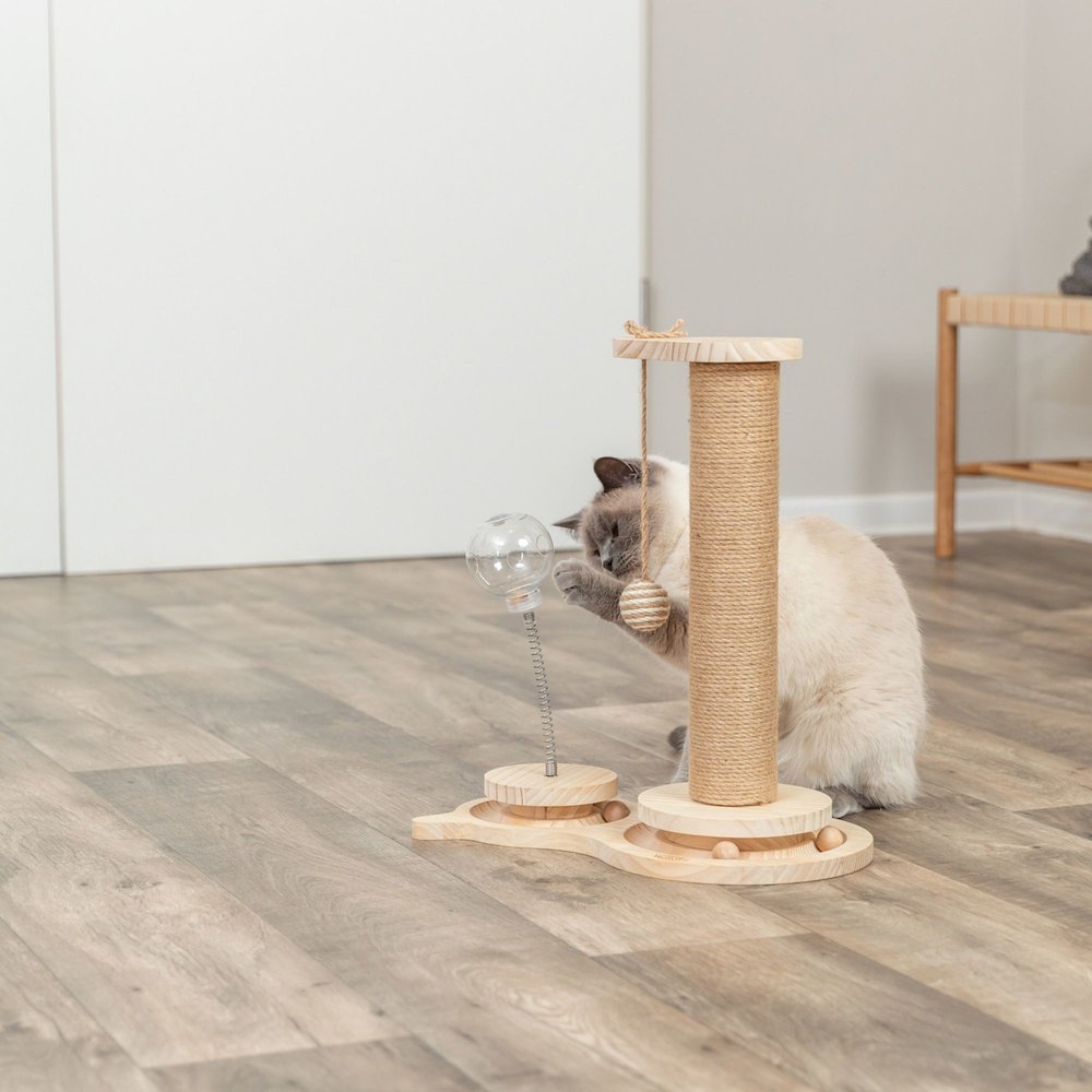 Oliver Interactive Cat Scratching Post w/ Treat Cup, Wooden Track & Hanging Ball