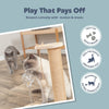 Oliver Interactive Cat Scratching Post w/ Treat Cup, Wooden Track & Hanging Ball