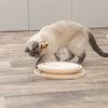 Cat Scratcher with Ball Track & Spring Toy | 3-in-1 Interactive Sisal Scratching