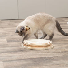 Cat Scratcher with Ball Track & Spring Toy | 3-in-1 Interactive Sisal Scratching