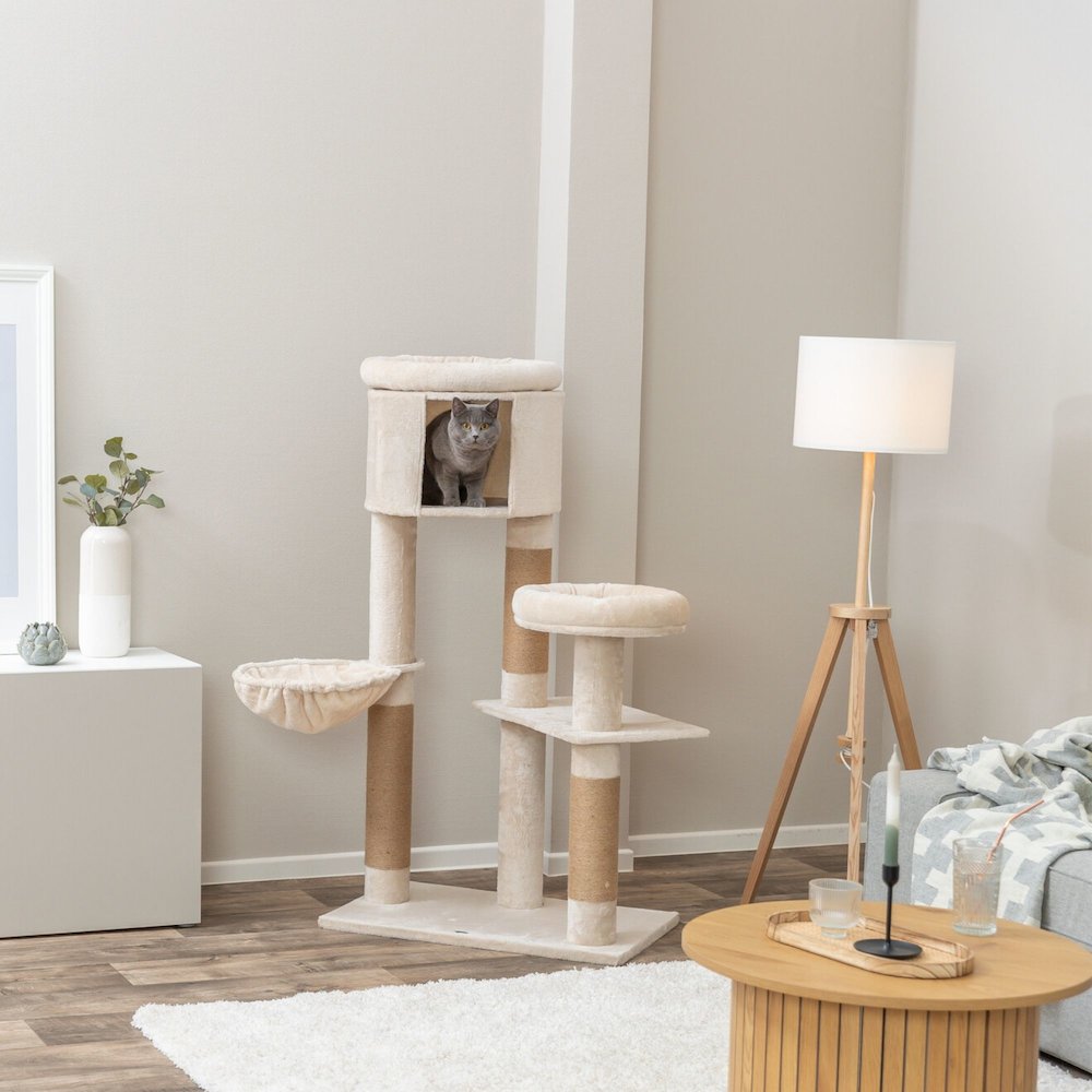 Aidan 53" Cat Tree - Multi-Level Cat Tower with Scratching Posts