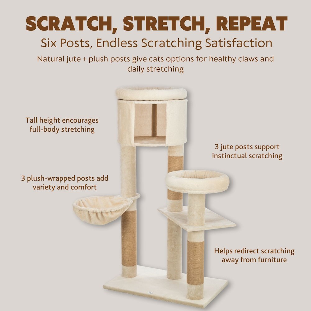 Aidan 53" Cat Tree - Multi-Level Cat Tower with Scratching Posts