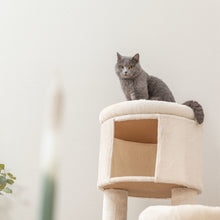 Aidan 53" Cat Tree - Multi-Level Cat Tower with Scratching Posts