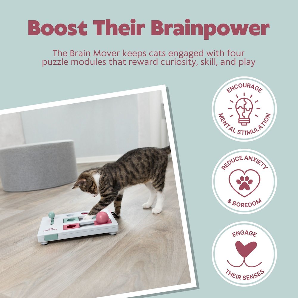 Brain Mover Strategy Game for Cats, Cat Puzzle Toy, Interactive Play