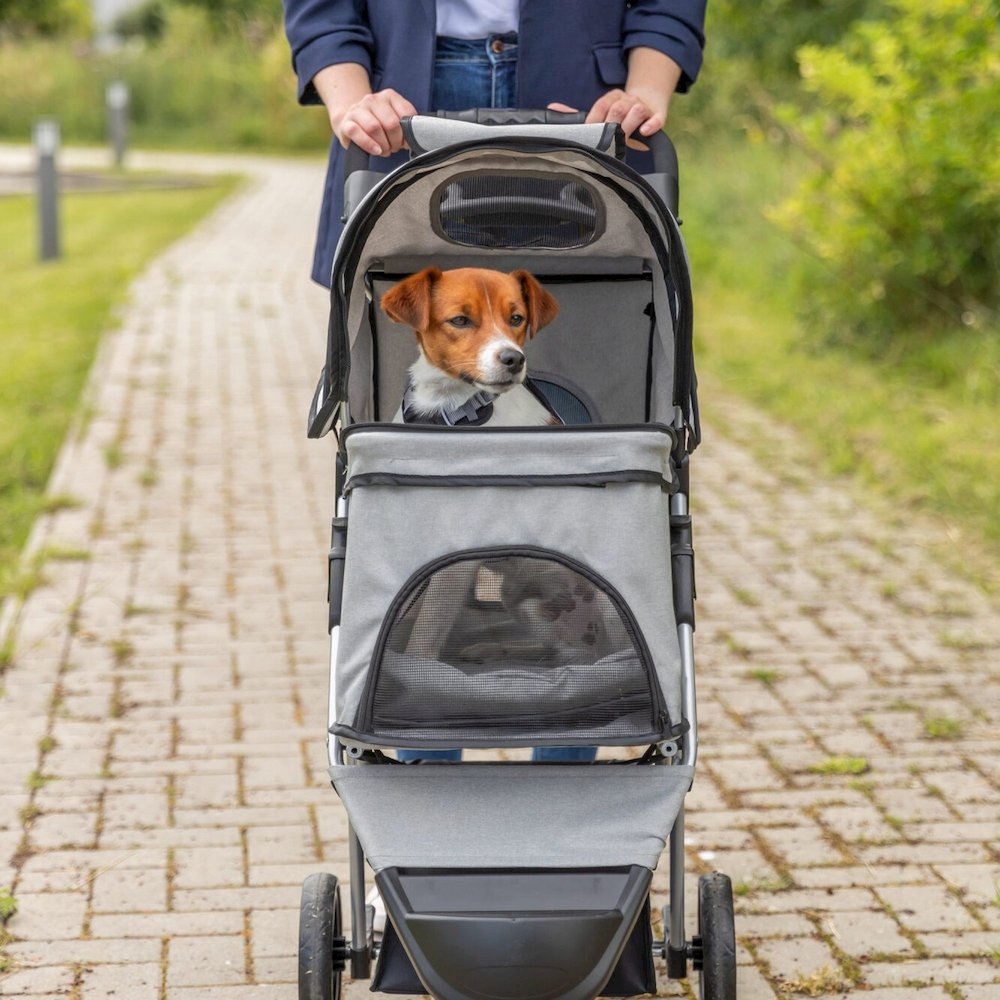 3-Wheeled Foldable Dog & Cat Stroller with Canopy and Storage Compartments, Gray
