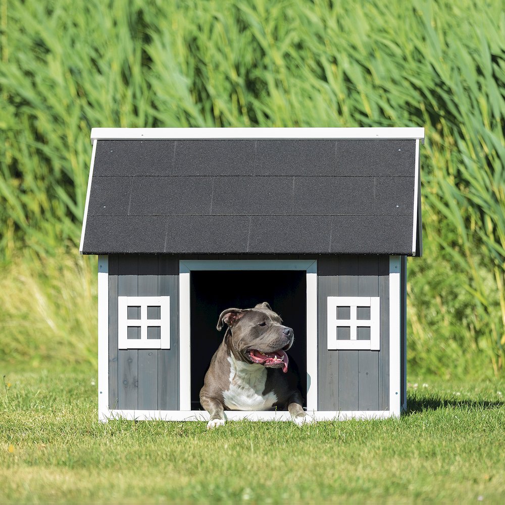 natura Barn Style Dog House, Medium