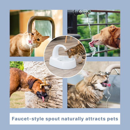 Curved Stream 84.5oz Drinking Fountain for Cats and Dogs