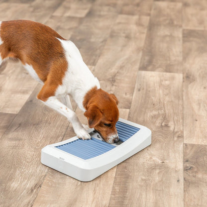 Dog Activity Rod Board Strategy Game, Level 1 Dog Puzzle Toy, Dog Treat Toy