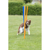 Dog Agility Slalom Set, 12 Piece Weaving Poles