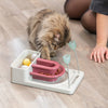 Fantasy Board Strategy Game for Cats, Puzzle Toy, Treat Dispenser