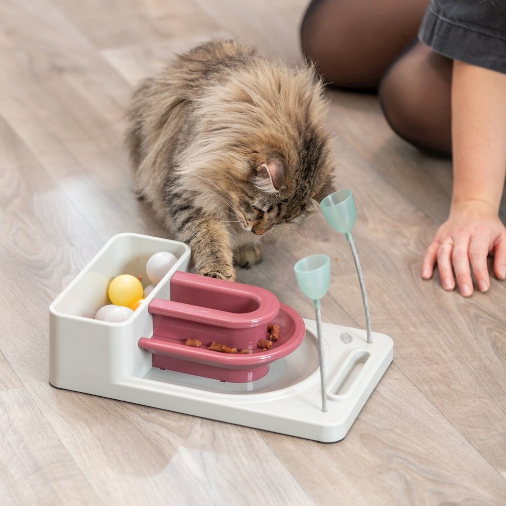 Fantasy Board Strategy Game for Cats, Puzzle Toy, Treat Dispenser