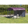 Deluxe Outdoor Dog Kennel, XXL