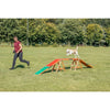 Dog Agility Dogwalk, Obstacle Training