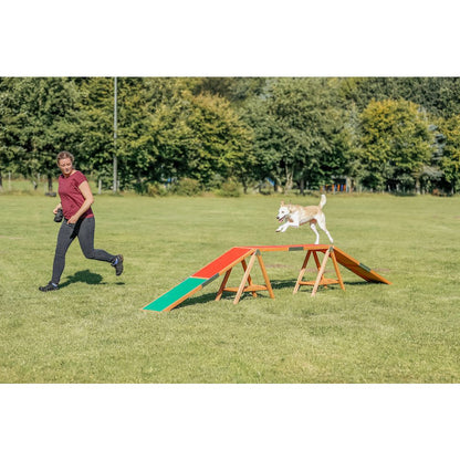 Dog Agility Dogwalk, Obstacle Training