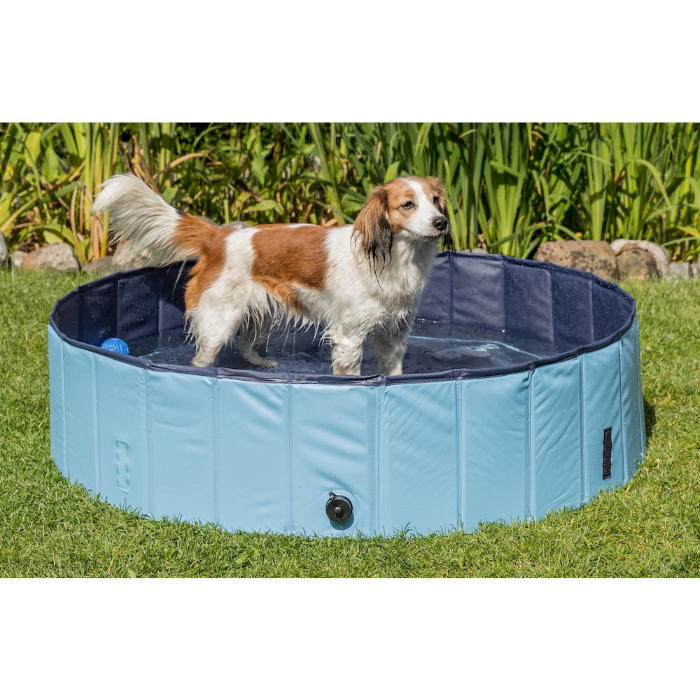 31.5" Outdoor Splash Pool for Dogs, Foldable Playpen, Bathtub, Blue, Medium