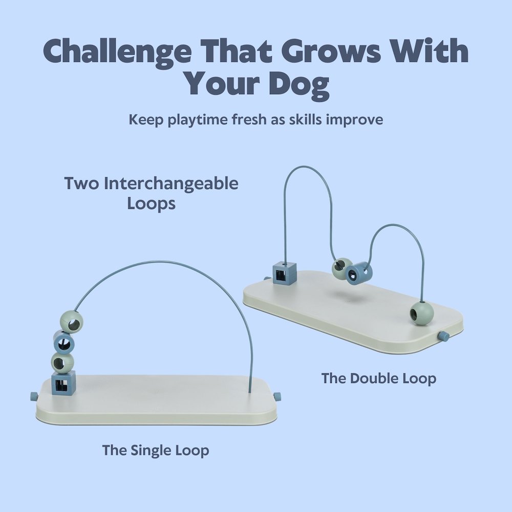 Dog Activity Skills Loop Strategy Game, Level 4 Advanced Food Puzzle