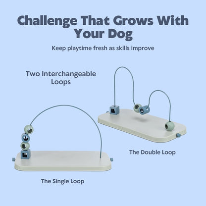 Dog Activity Skills Loop Strategy Game, Level 4 Advanced Food Puzzle