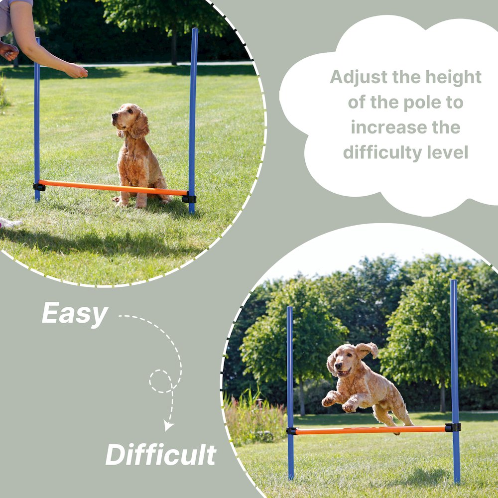 Dog Agility Hurdle, Obstacle Training