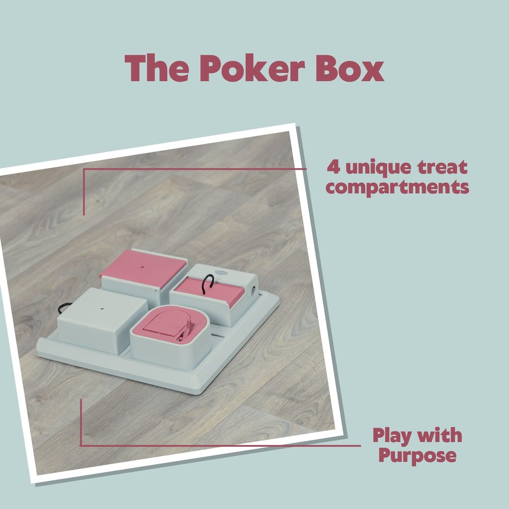 Poker Box Strategy Game for Cats, Puzzle Toy, Treat Dispenser, Interactive Play