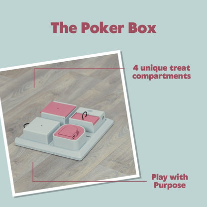 Poker Box Strategy Game for Cats, Puzzle Toy, Treat Dispenser, Interactive Play