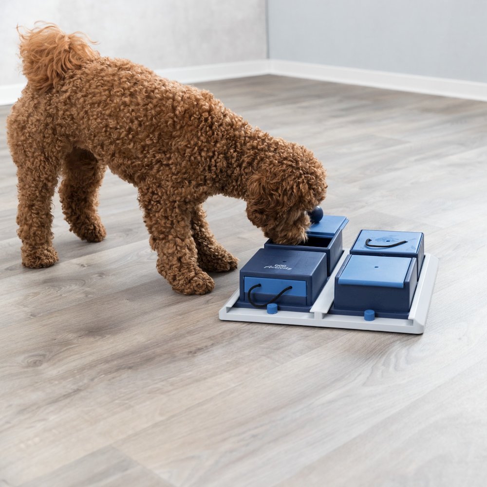 Dog Activity Poker Box 1 Strategy Game, Level 2 Dog Puzzle Toy, Treat Dispenser