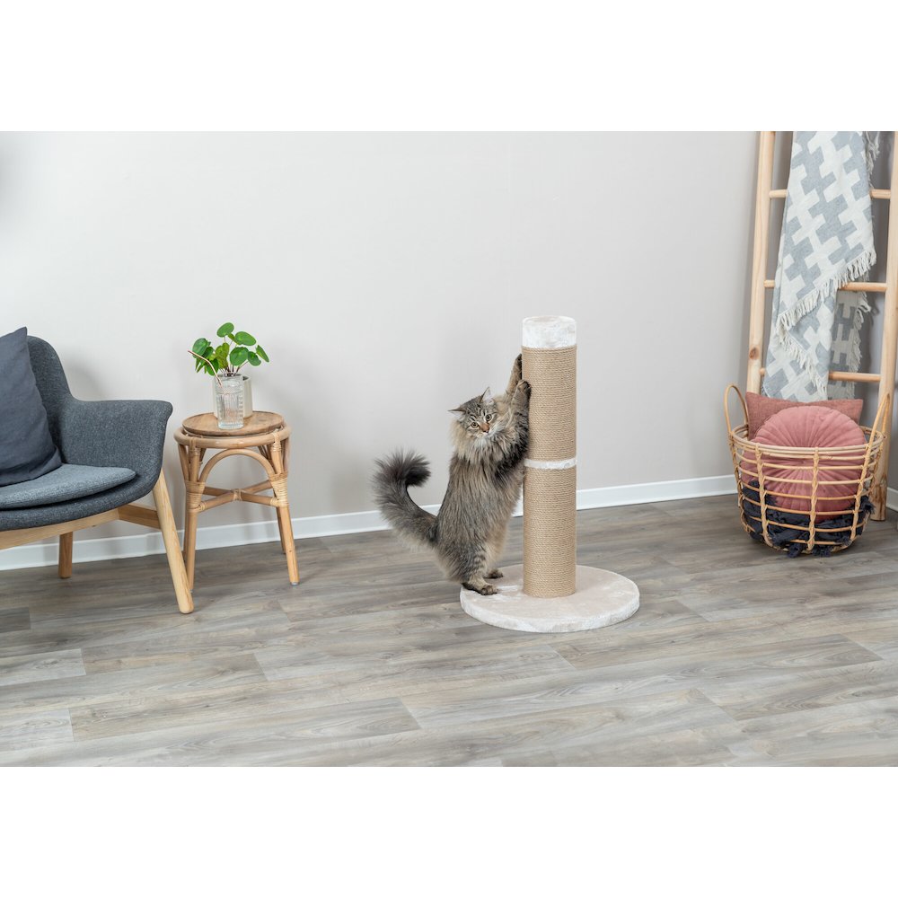 Rue Sisal & Plush 31.5" XXL Cat Scratching Post for Large Cats, Plush Base