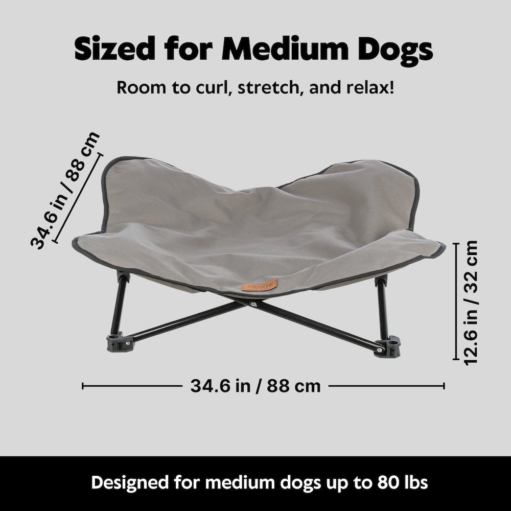 Elevated Camping Cot, Folding Dog Bed, Raised Travel Lounger for Medium Dogs
