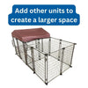 Deluxe Outdoor Dog Kennel, Medium