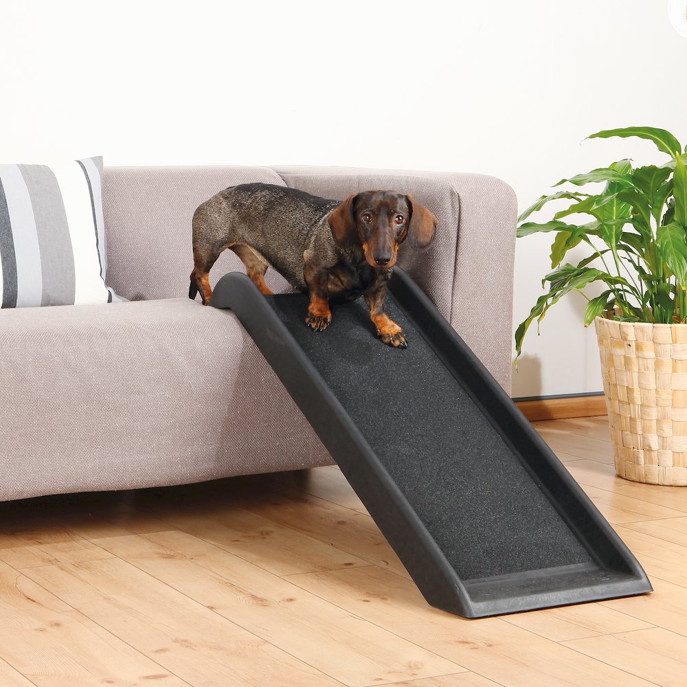 39.5" Small Pet Ramp for Dogs and Cats, Great for Small Cars and Furniture