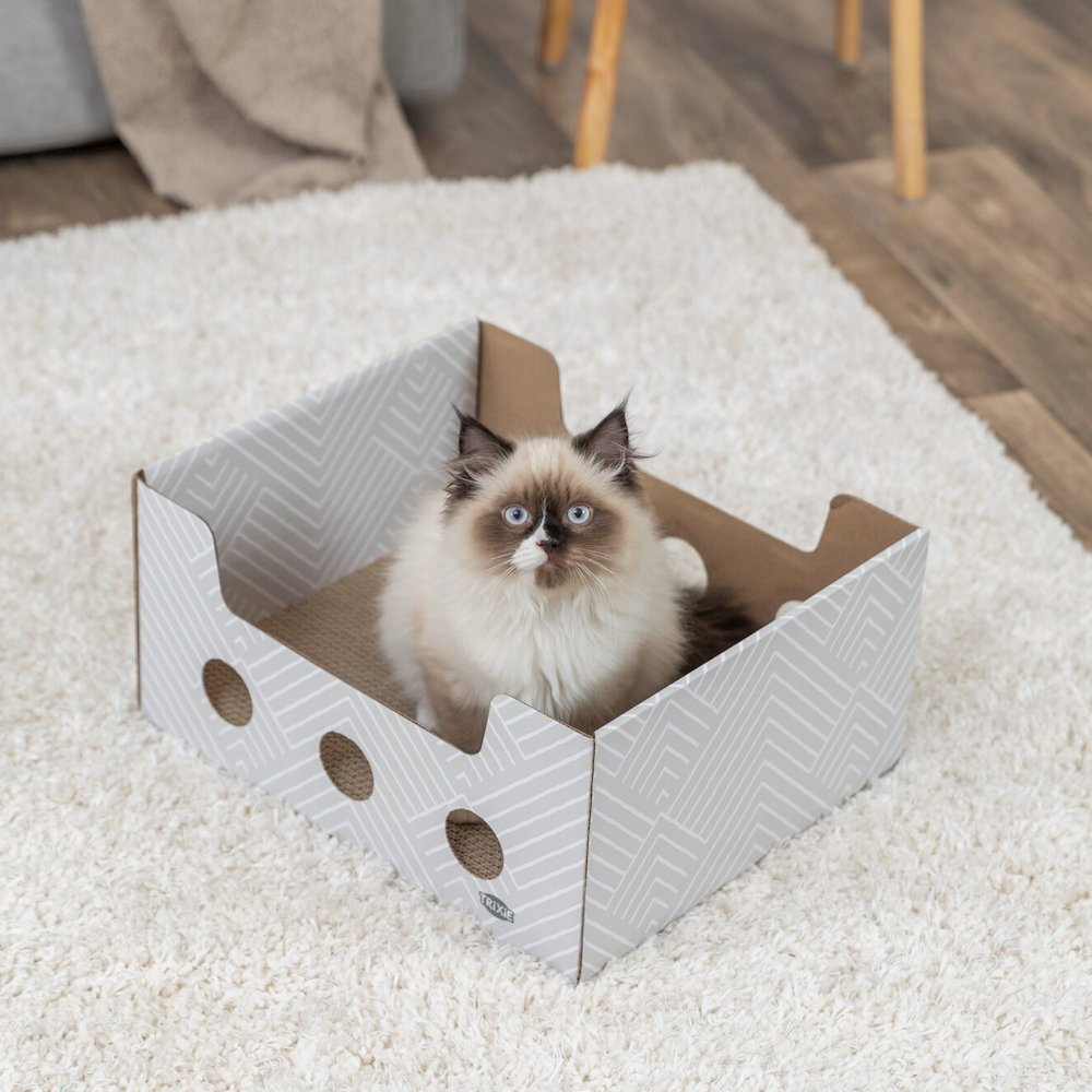 Cardboard Cat Scratching Box with Peek-a-Boo Openings & Double-Sided Scratcher
