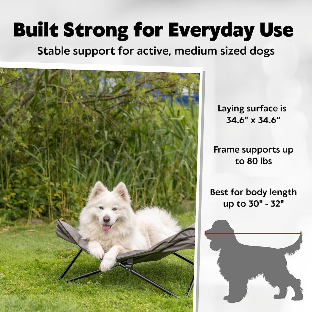 Elevated Camping Cot, Folding Dog Bed, Raised Travel Lounger for Medium Dogs