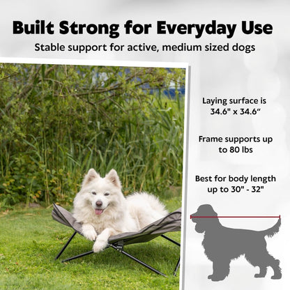 Elevated Camping Cot, Folding Dog Bed, Raised Travel Lounger for Medium Dogs