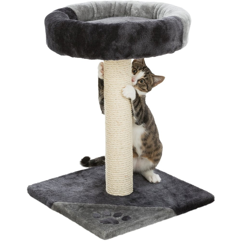 Junior Tarifa  Plush & Sisal 20.5" Scratching Post with Padded Platform