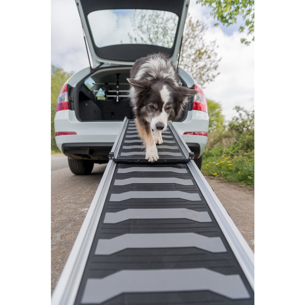 Collapsible Non-Slip 69" Long Aluminum Pet Ramp, Silver-Black, 198 lb Limit
