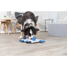 Dog Activity Move2Win Strategy Game, Level 3, Advanced Dog Puzzle Toy,