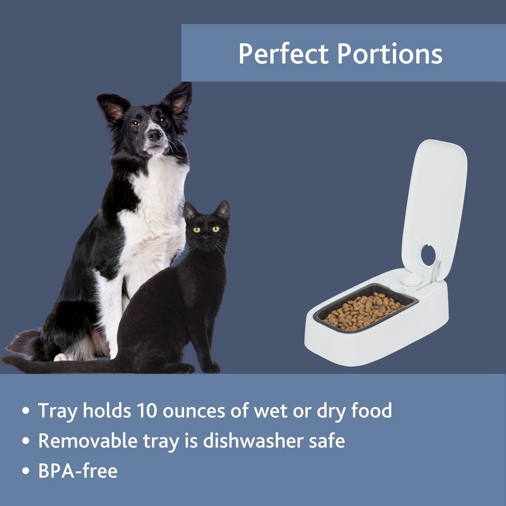 TX1 Automatic Food Dispenser, Single Serving, 48-Hour Timer, Battery Operated