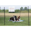 Portable Pet Fence, Mesh Dog Playpen, Outdoor Camping Fence, Easy to Transport