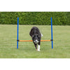 Dog Agility Hurdle, Obstacle Training