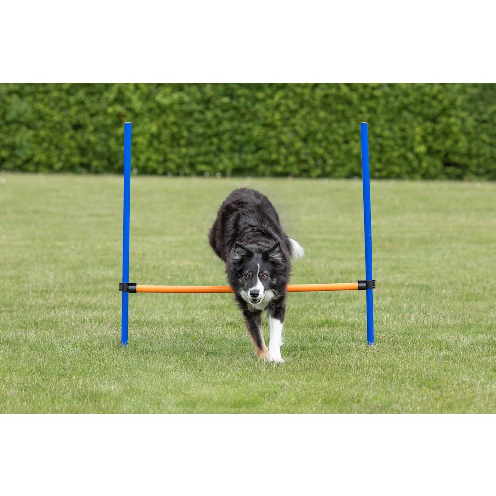Dog Agility Hurdle, Obstacle Training