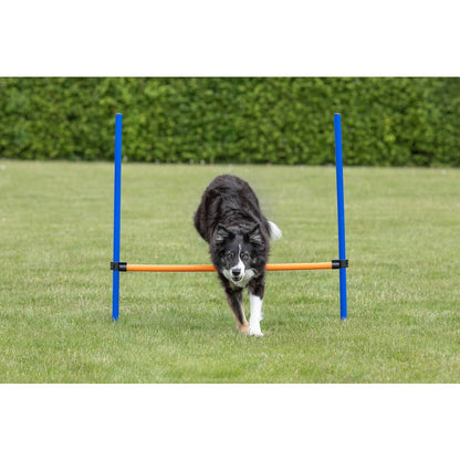 Dog Agility Hurdle, Obstacle Training